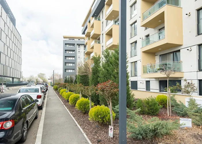 公寓 Papini's -apartment With Big Terrace 布加勒斯特